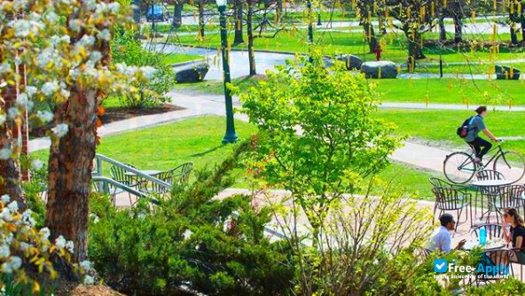 Foto de la St. Lawrence University #1