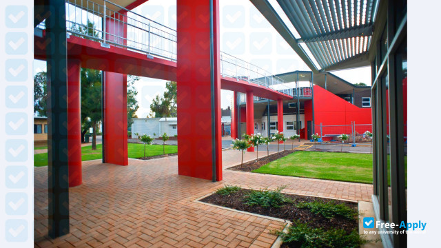 Thomas More College photo #2