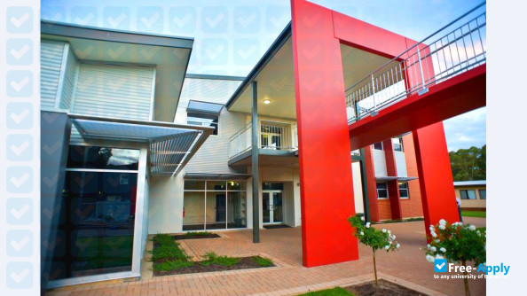 Thomas More College photo #11