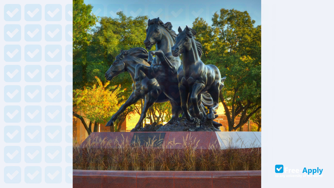 Foto de la Southern Methodist University