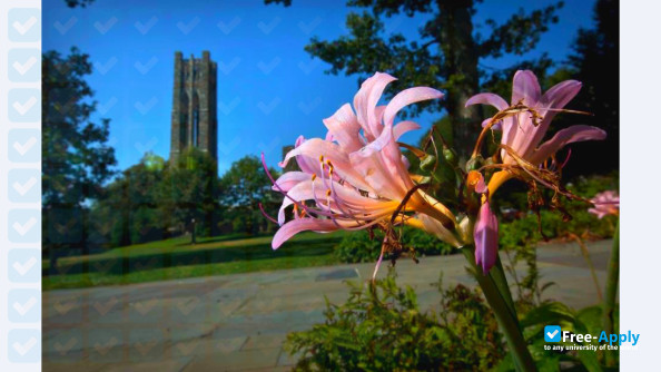 Swarthmore College photo #13