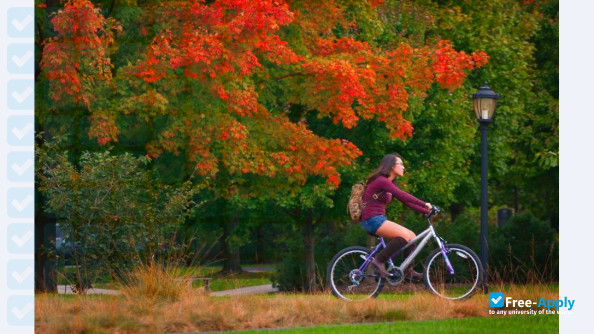 Swarthmore College photo #5