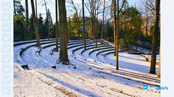 Swarthmore College photo #19