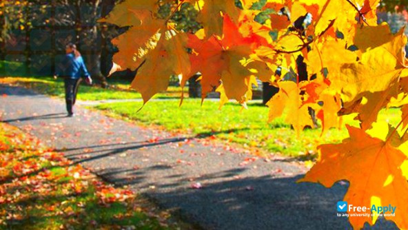 Swarthmore College photo #19