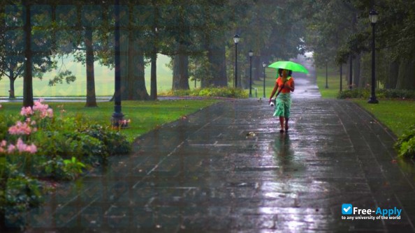 Swarthmore College photo #20