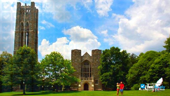 Swarthmore College photo #17