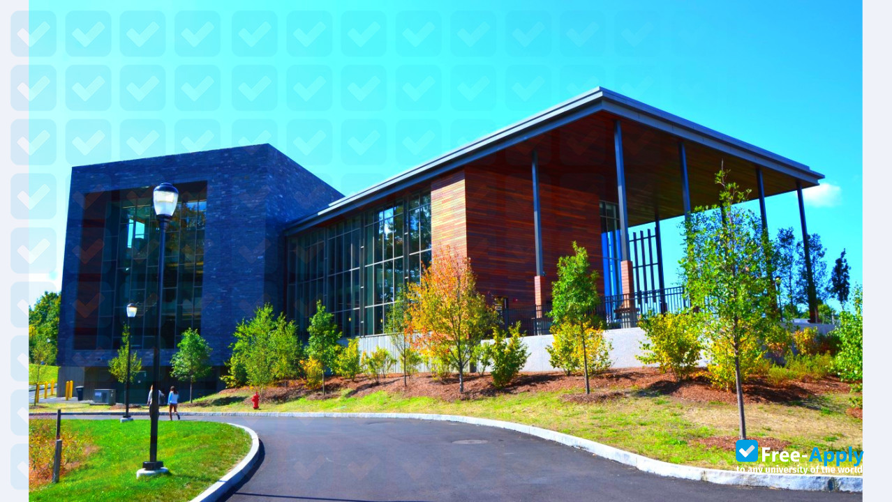 Southern New Hampshire University photo #8