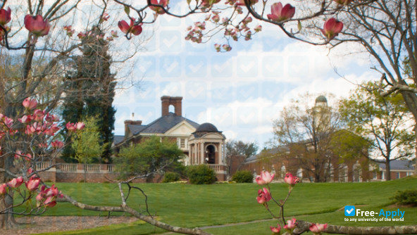 Sweet Briar College photo #6