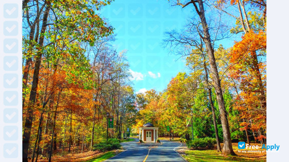 Sweet Briar College photo #17