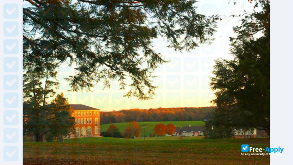 Foto de la Sweet Briar College #15