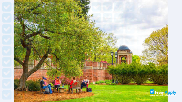 Sweet Briar College photo #42