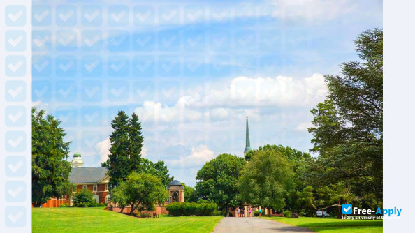 Sweet Briar College photo #12