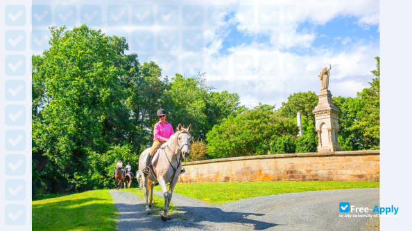 Sweet Briar College photo #29