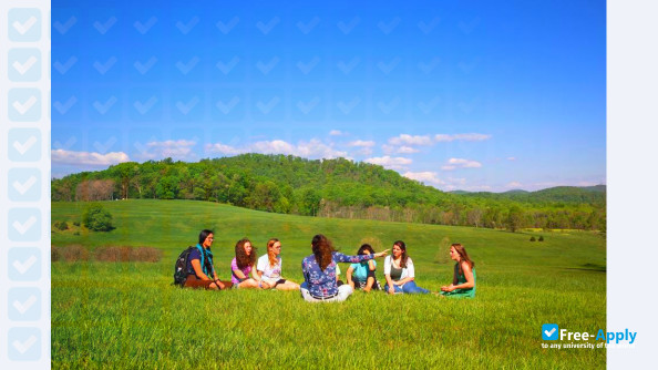 Sweet Briar College photo #30