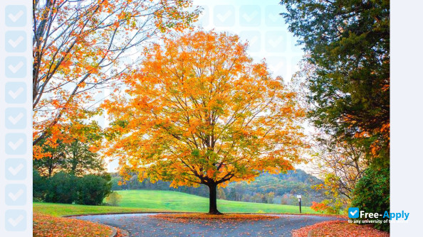 Sweet Briar College photo #1