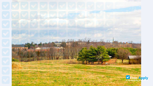Sweet Briar College photo #38