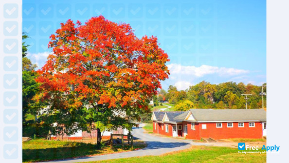 Sweet Briar College photo #27