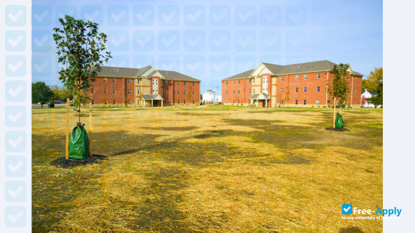 Foto de la Tiffin University