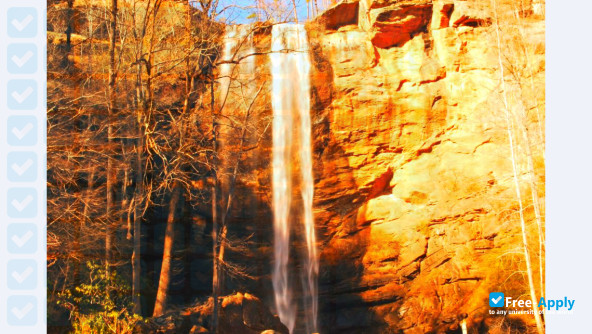 Toccoa Falls College photo #7
