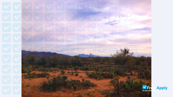 Tohono O'Odham Community College фотография №8