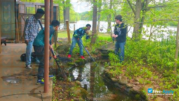 Foto de la Tennessee College of Applied Technology-Livingston #3