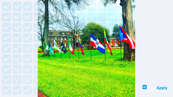 Talladega College photo #6