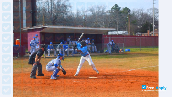 Talladega College photo #14
