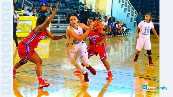 Talladega College photo #10