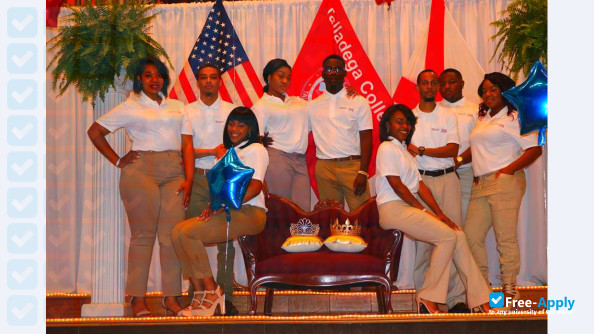 Talladega College photo #5