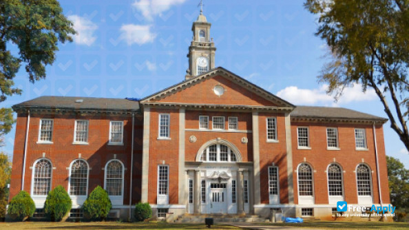 Talladega College photo #8
