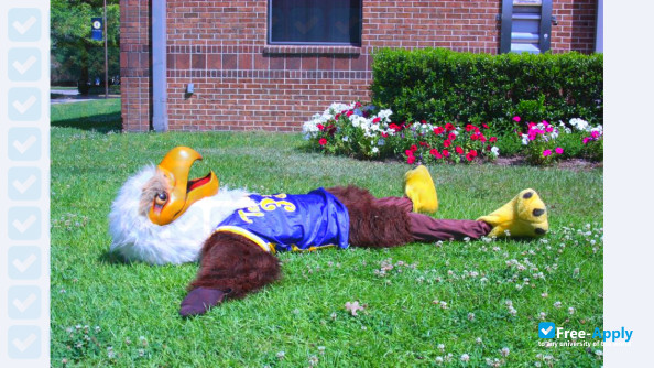 Photo de l’Tallahassee Community College #9