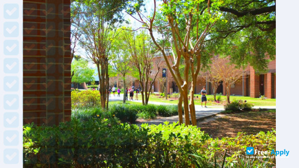 Photo de l’Tallahassee Community College #17