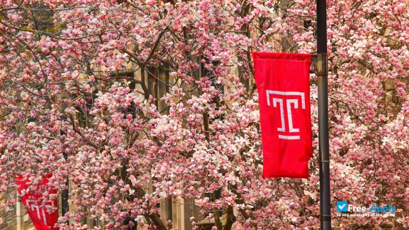 Temple University photo #14