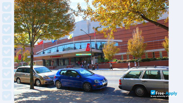 Temple University photo #6