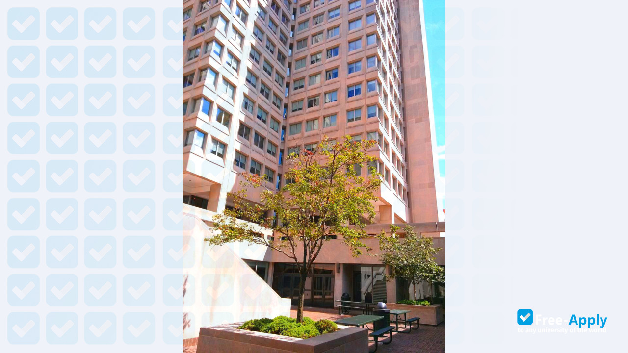 Temple University photo #15