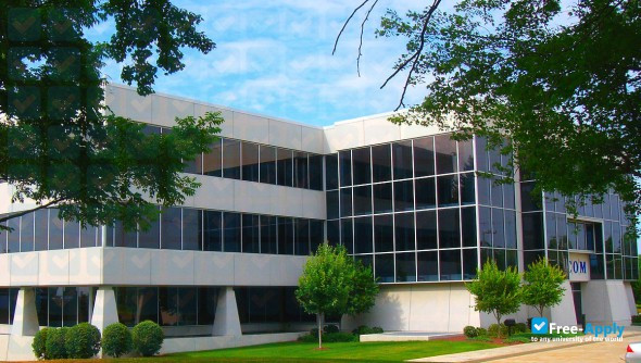 Foto de la Triangle Tech #15