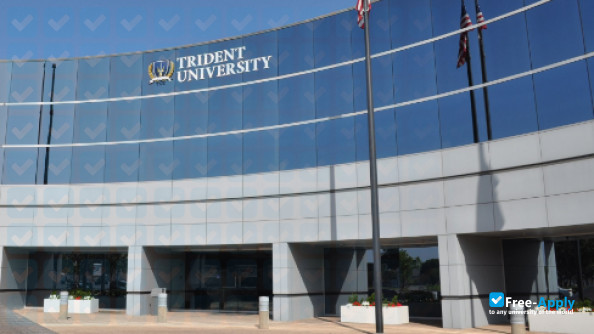 Trident University фотография №8