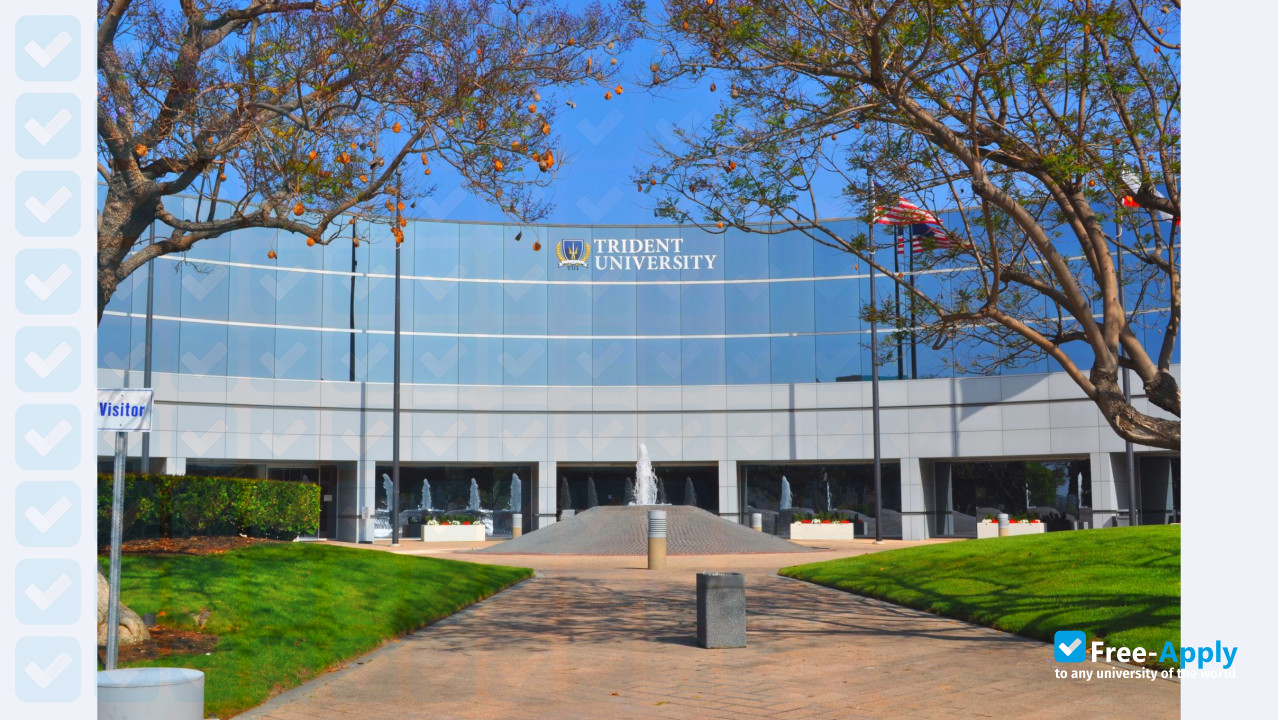 Trident University фотография №4