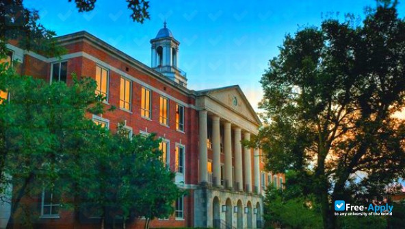 Foto de la Tennessee State University #3