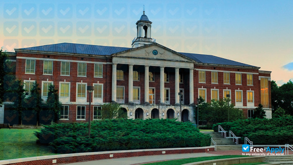 Photo de l’Tennessee State University #7