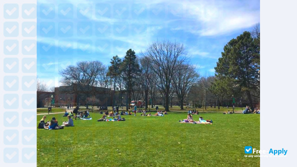 Siena College photo #9