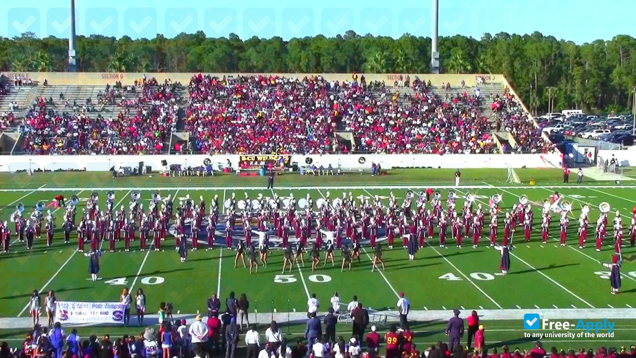 South Carolina State University photo #6