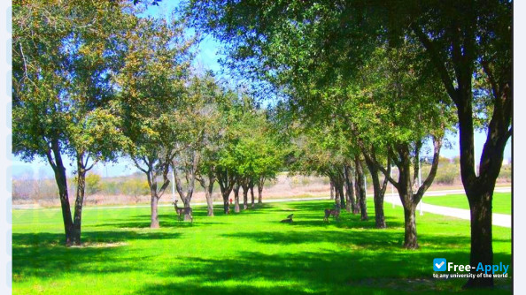 Foto de la Texas A&M International University #10