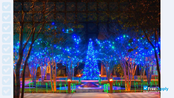 Texas A&M University–Corpus Christi photo #5