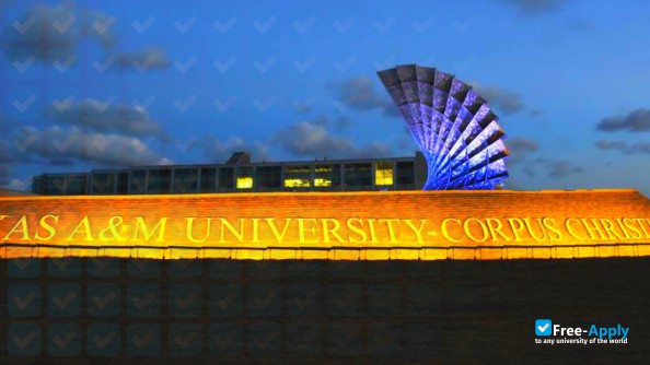 Foto de la Texas A&M University–Corpus Christi #2