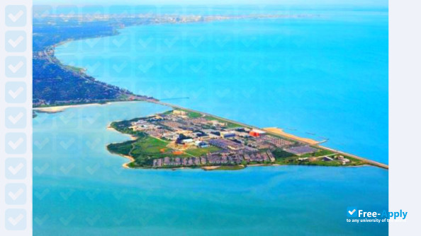 Texas A&M University–Corpus Christi photo #3