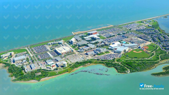 Texas A&M University–Corpus Christi photo #6