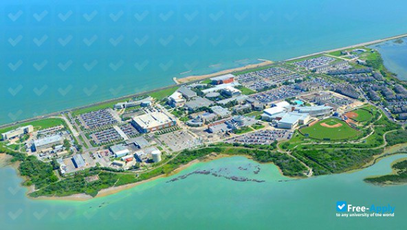 Foto de la Texas A&M University–Corpus Christi #10