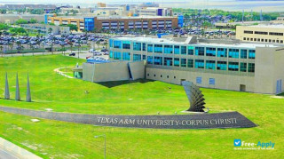 Texas A&M University–Corpus Christi thumbnail #3