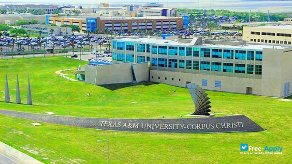 Texas A&M University–Corpus Christi photo #3